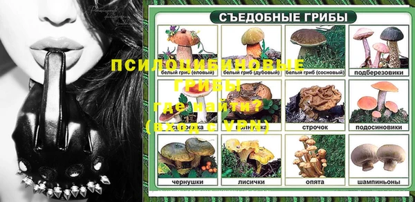 spice Алзамай