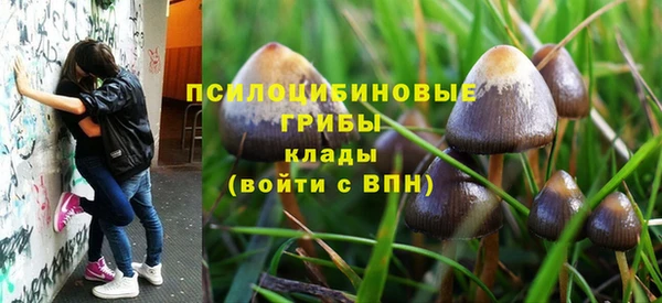 соль ск Нефтекумск